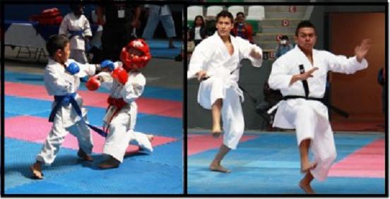 Morelia Fue Sede De La 1ª Copa Shotokan Jka De Karate