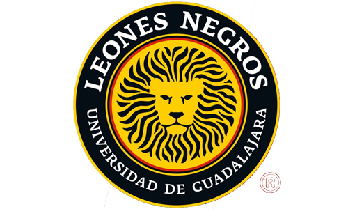 Leones Negros