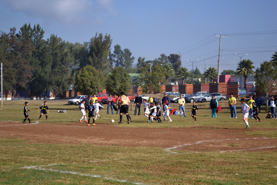 Tigres - Gestal