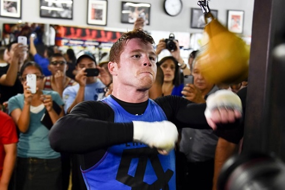 'Canelo' no peleará ante Cotto