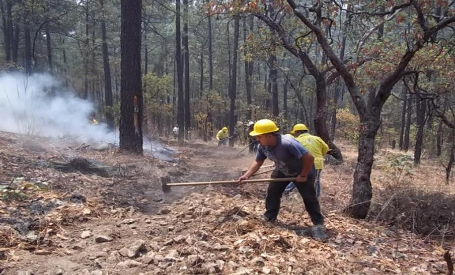 Inician Cierres Regionales de Prevención y Control de Incendios Forestales