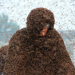 Un Nuevo Récord Guinness