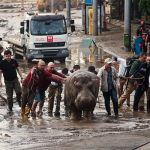 Se Inundó el Zoológico