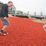 Alfombra Roja de Cangrejos