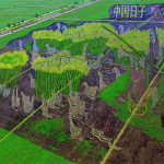 Convierten Arrozales en Arte