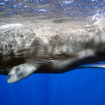 Lo Pequeños que Somos