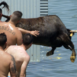 Toros al Agua