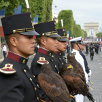 México en el Día de Francia