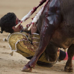 Cornada en Las Ventas
