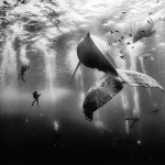 México Gana Concruso de Fotografía de National Geographic