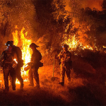 Cientos de Casas Incendiadas