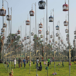 Concurso de Canto de Aves
