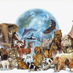 Día Mundial de los Animales