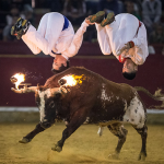 Los Recortadores