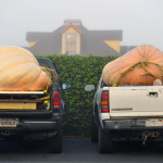 Super Calabazas