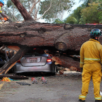 El Viento Provoca Muerte