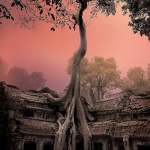 Bello Atardecer en Cambodia