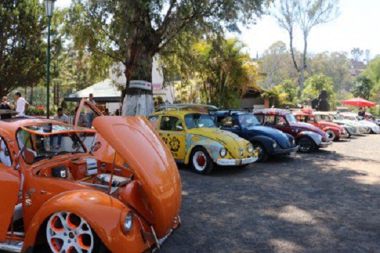 Con ‘Vochos’, Diversifican Entretenimiento en el Zoológico