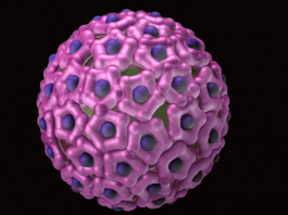 Virus Papiloma Humano 750