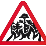 incendio forestal arbol fuego