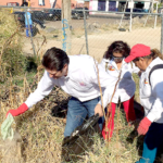 Alfonso-Martínez-Limpiando