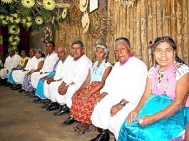 Comunidades-Indígenas