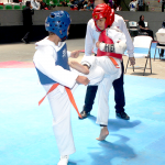 Copa-Taekwondo