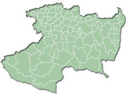 Municipios-Michoacán