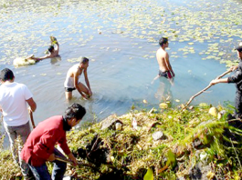 Cuidado-Lipieza-Día-Mundial-Medio-Ambiente