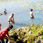 Cuidado-Lipieza-Día-Mundial-Medio-Ambiente
