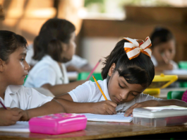 Educación, Primaria, Estudio Escuela