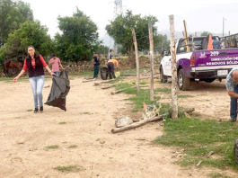 Limpieza-Colona-Durazno