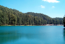 Bosque-Lago-Azufres