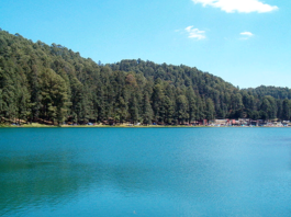 Bosque-Lago-Azufres