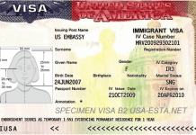 Cancelan Visas a Ejecutivos del Transporte