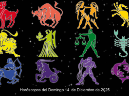 Horóscopos del Domingo 14 de Diciembre de 2025 Horoscopos