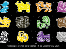 Horóscopos Chinos del Domingo 14 de Diciembre de 2025 Horoscopos Chinos