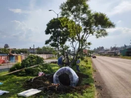 El Estado Tienen Permisos Ambientales de Morelia Para Construcción del Morebús